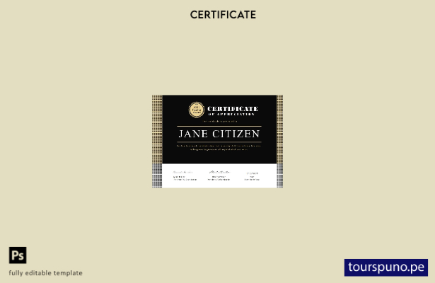 Plantilla de certificado de reconocimiento al maestro de EE. UU. lista para impr